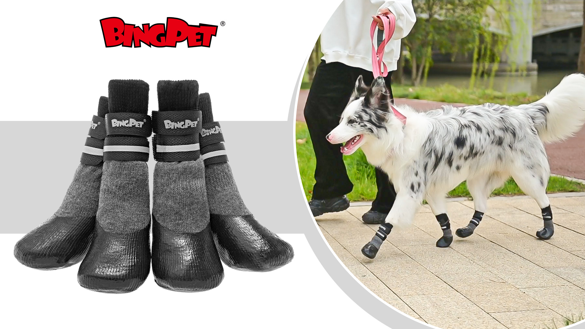 Amazon.com : BINGPET Dog Socks for Hardwood Floors,Outdoor Anti